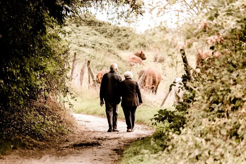 elderly, couple, walking, trail