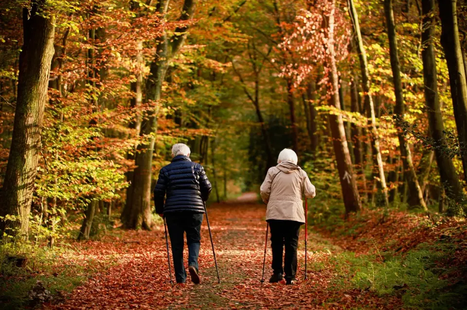 elderly people, couple, fall, walk