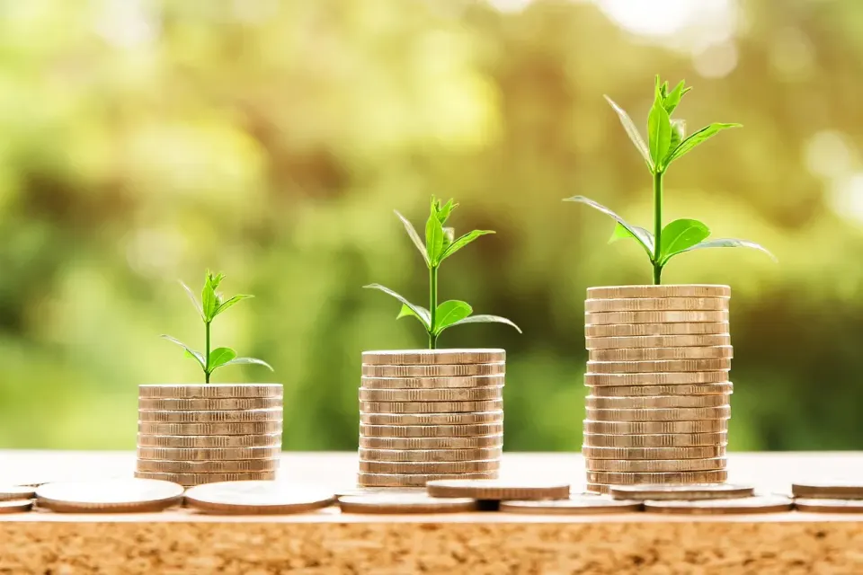 money, coin, investment, business