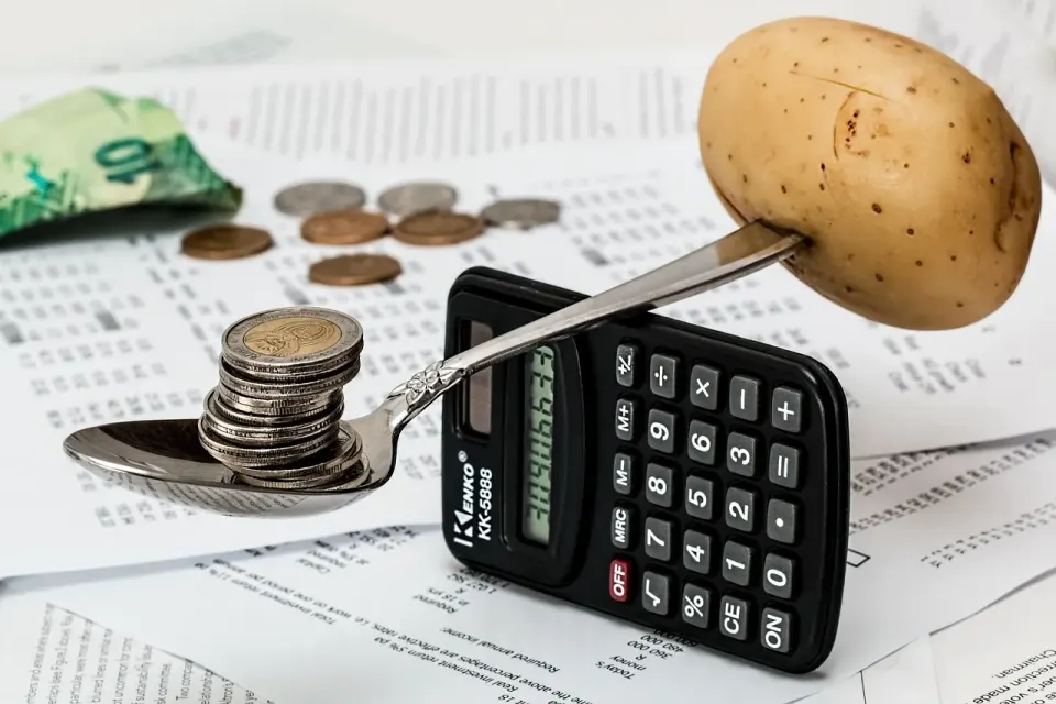 coins, calculator, budget, household budget