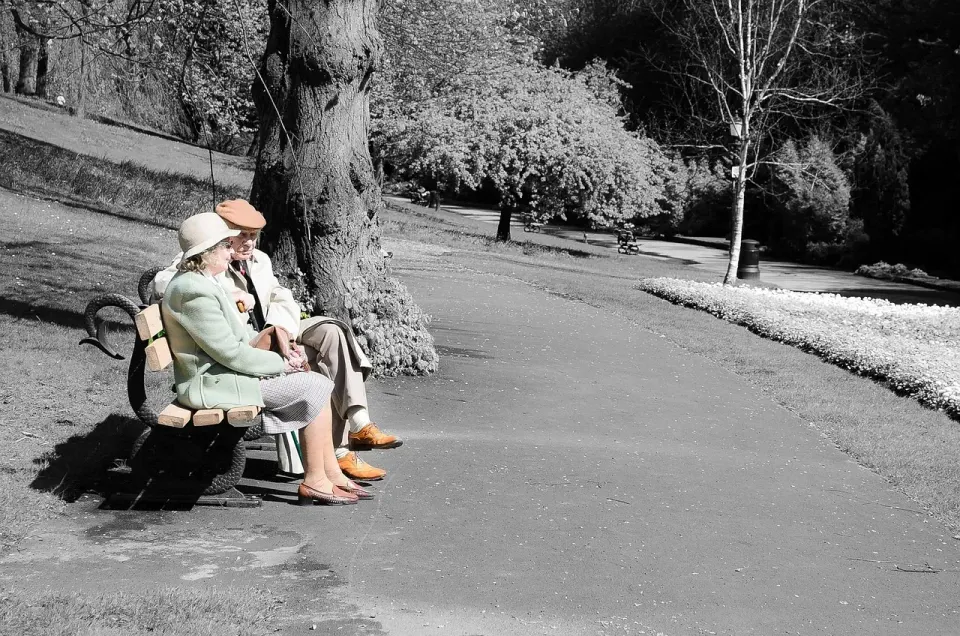 elderly, couple, garden, conversation