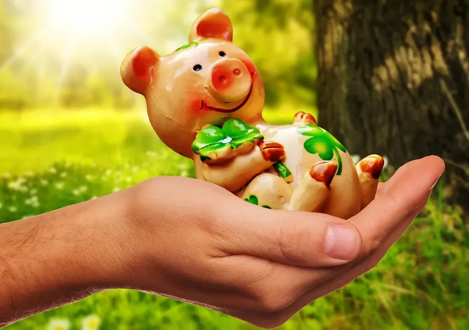 good luck, handful happiness, piggy, lucky pig